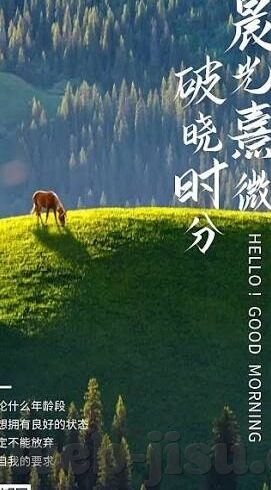 开云体育买球-开云体育，一场买球体验的全面审视